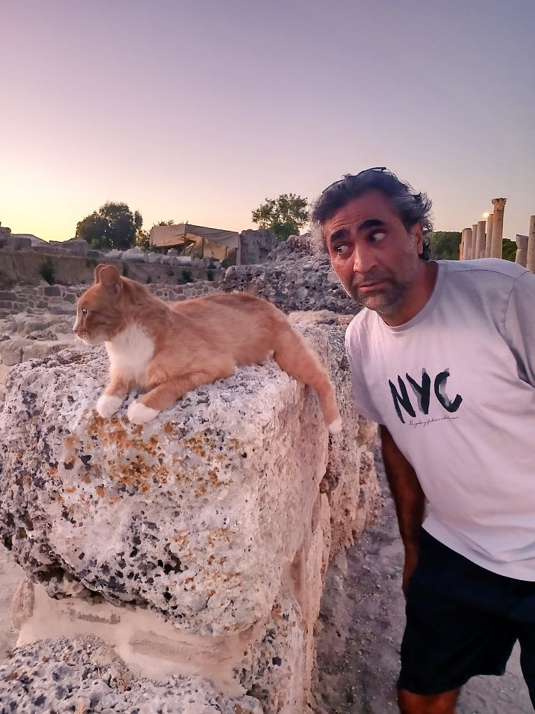 Bir anda yüzüme şaplağı yapıştıracak kadar gergin. Gelen geçen herkesin kafasına, orasına burasına dokunmalarından gınaa gelmiş. Haklı da. Zira akşamın tadını çakarması lazım. Kedi lan o! Bizim oyuncağımız değil. Bizlere zırtikler dese yeridir.