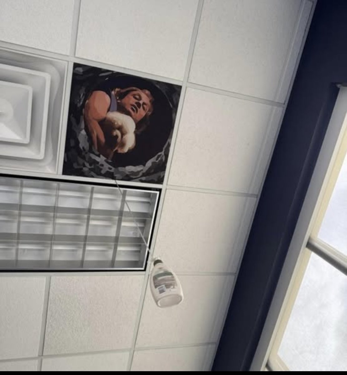 NoKnocks18784's tweet image. 