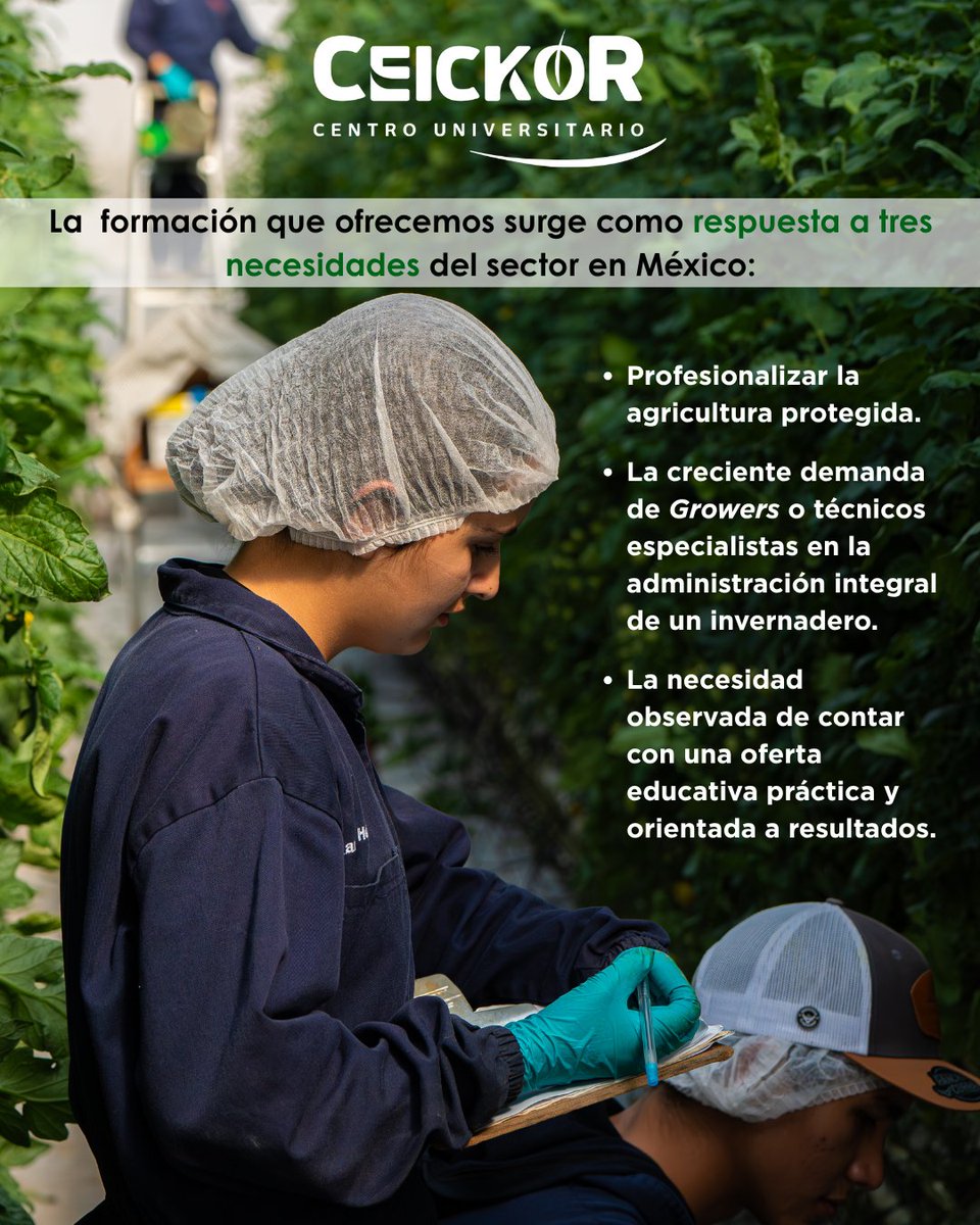 CEICKOR's tweet photo. CEICKOR es la única universidad especializada en agricultura protegia del país.
Nuestro enfoque nos permite ofrecer programas de estudio de alta calidad, que preparan a nuestros estudiantes para ser líderes en la industria.
¡Aquí cultivas tu futuro! https://t.co/DnFvpPzV2H