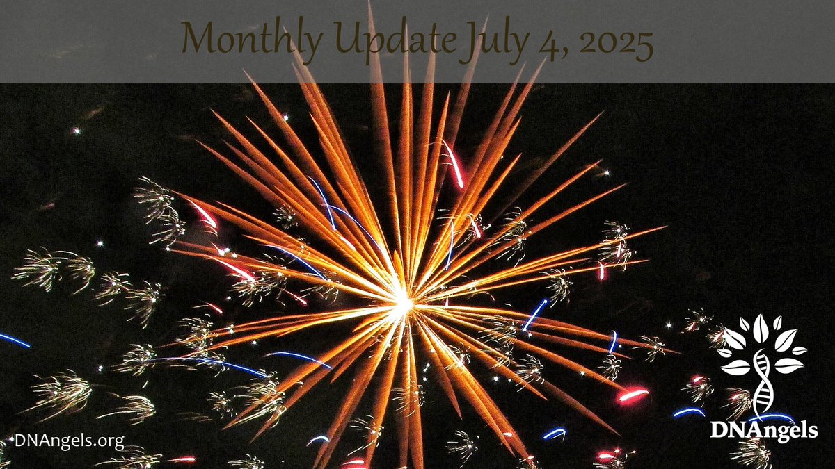 DNAngels4's tweet photo. Happy Independence Day! In addition to the holiday, we're celebrating our dedicated team of search Angels who identified a total of 101 birth parents last month! Great job, everyone! As always, we're grateful for all their hard work and the dedicated support of all the ... https://t.co/p6dt96Rq0D