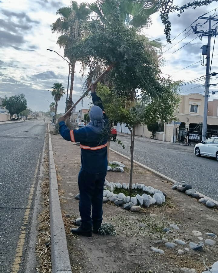 Viernes de #Bulevareando en Villa Bonita. 👷🏻‍♂️📍

¡Los espacios verdes se disfrutan y se ven más bonitos limpios! 🫶🏻🌳

#HermosilloCRECELimpio