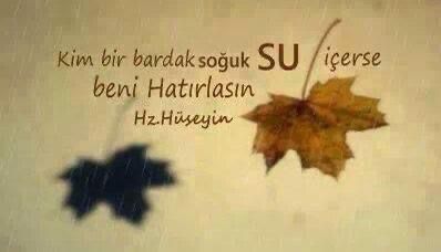 Aşûra gecemiz ve Aşûra günümüz (yarın) mübarek olsun... 
Rabbim adalete vesile eylesin...
Ümmetin içinde olduğu gafletten kurtuluşuna vesile eylesin..

#kerbela #asure #Muharram #iyigeceler #GeceyeNotum #محرم