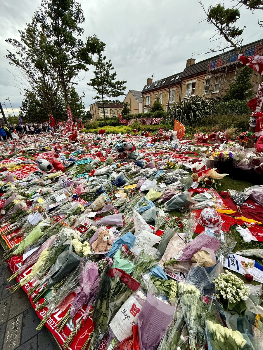 𝐏aige tweet media