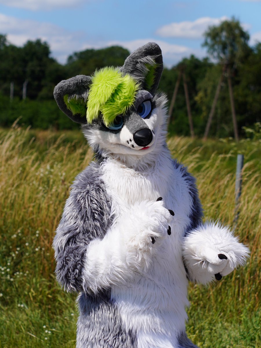 Summertime vibes
Photo: @Adam_MikeWolf [tg]
#FursuitFriday