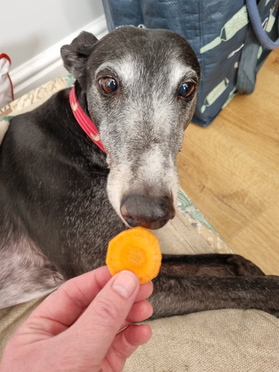 Charlie Babe🌈 tweet media