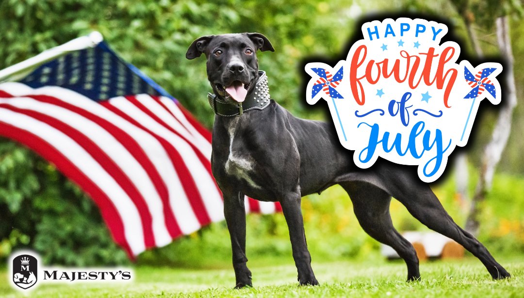 Majestys_Wafers's tweet photo. Sparkling skies and sizzling grills—let freedom ring! 🎆 Celebrate the land of the free with family, friends, and unforgettable memories this Fourth of July!
#majestys #majestysanimalnutrition #dogs #dogstagram #puppylove #ilovemydog #dogsarefamily #doglife https://t.co/H0FLPERYLL