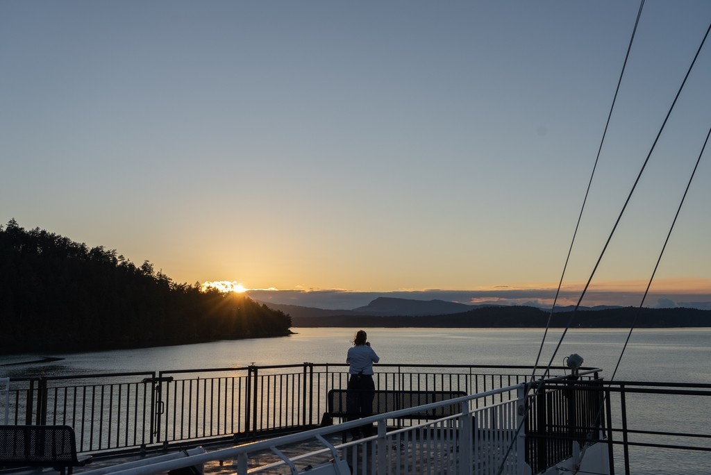 The BC Bird Trail tweet media
