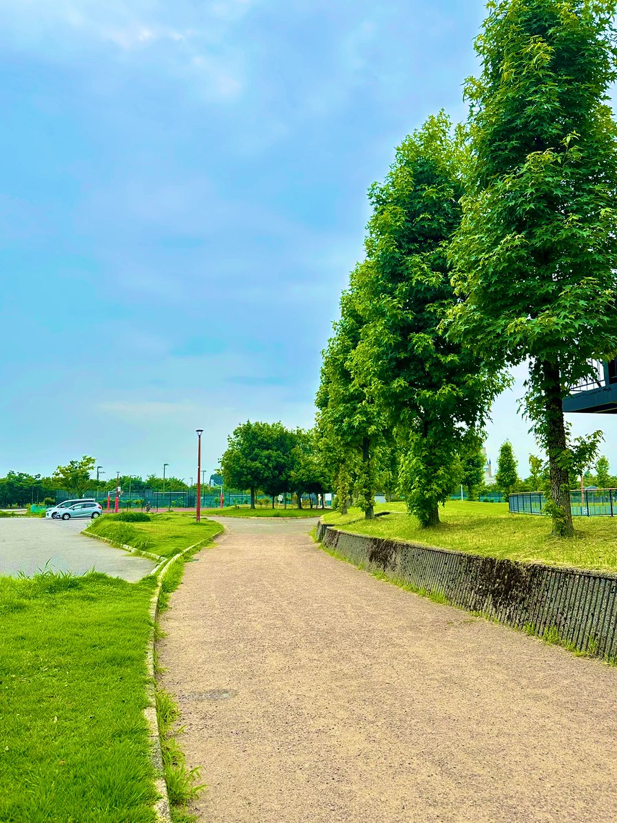 朝の散歩🚶
気持ちいい