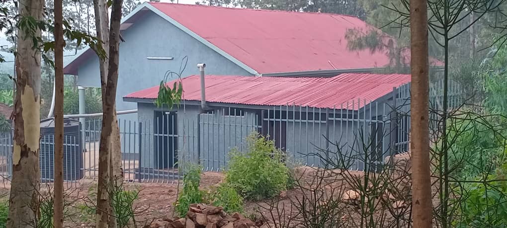 Umunsi waranzwe no kwishimira ibyagezweho,harimo gutaha ibiro by'akagari ka Rulindo,amazu yubakiwe abatishoboye bacitse ku icumu rya genocide yakorewe abatutsi mu 1994 no koroza imiryango itishoboye muri gahunda ya Girinka.