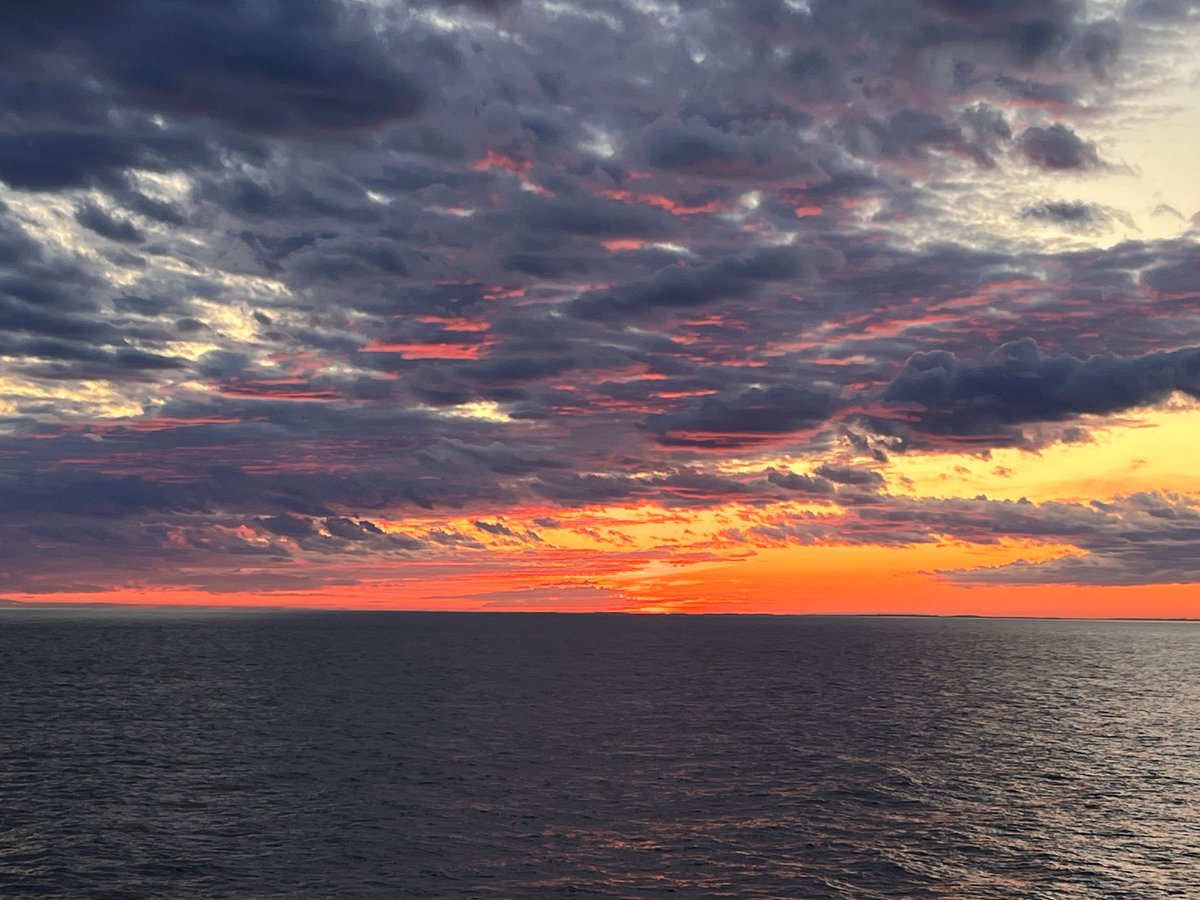 Daniel Vnukowski (@danperforms) on Twitter photo Just captured from the Baltic Sea โ Just captured from the Baltic Sea โ