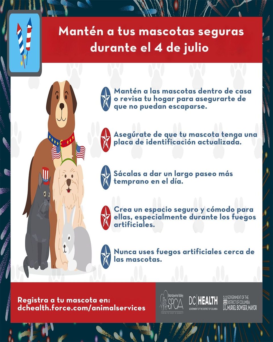Los fuegos artificiales son divertidos para nosotros… pero pueden ser aterradores para tus compañeros peludos.

Antes de que comiencen, asegúrate de que tus mascotas estén seguras y protegidas.
Echa un vistazo a nuestros consejos y evita el susto (para ti y para ellos).