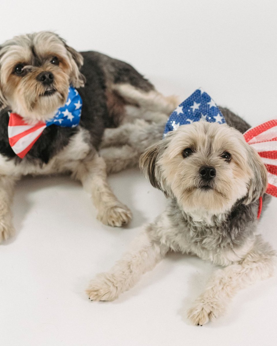 🎆 It’s the Fourth of July — and while we’re enjoying the festivities, our pets might be feeling the stress. Help your clients keep their furry friends calm and safe with our “Keep Your Pets Stress-Free During Fireworks Season” handout. 🐾 go.navc.com/3If8imp