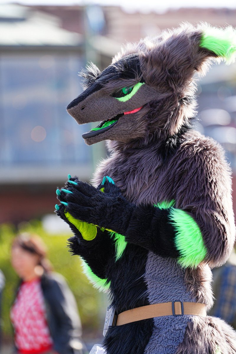 Happy 4th of July folks, do be careful with fireworks, I can confirm that they do quite a lot of damage to fursuit when in 5 feet of one going off.
#Sergal #FursuitFriday #July4 #FireworksGoOffALotQuickerThanIThought
📸: <a href="/trixx_rx/">Trix «PAWcon»</a>