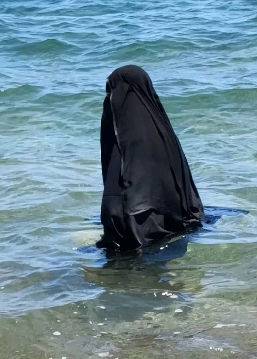 MAGA_K_'s tweet image. Can you name this deep sea creature?
#Discovery #NoToIslam #MAGA