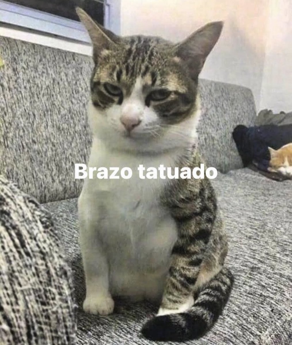 En Júpiter (@en_jupiter_) on Twitter photo 