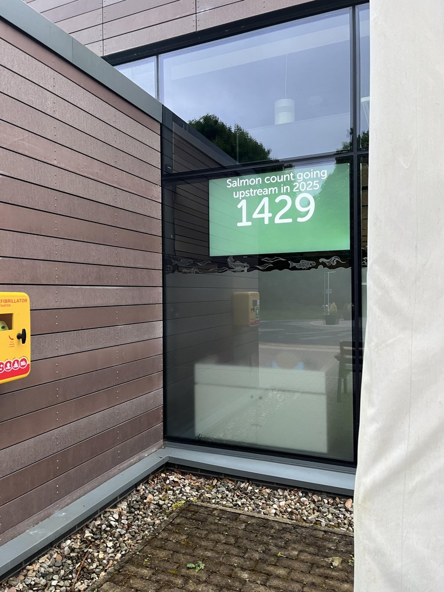 Ladder count 1429
Friday  4/7/25  21:23 BST