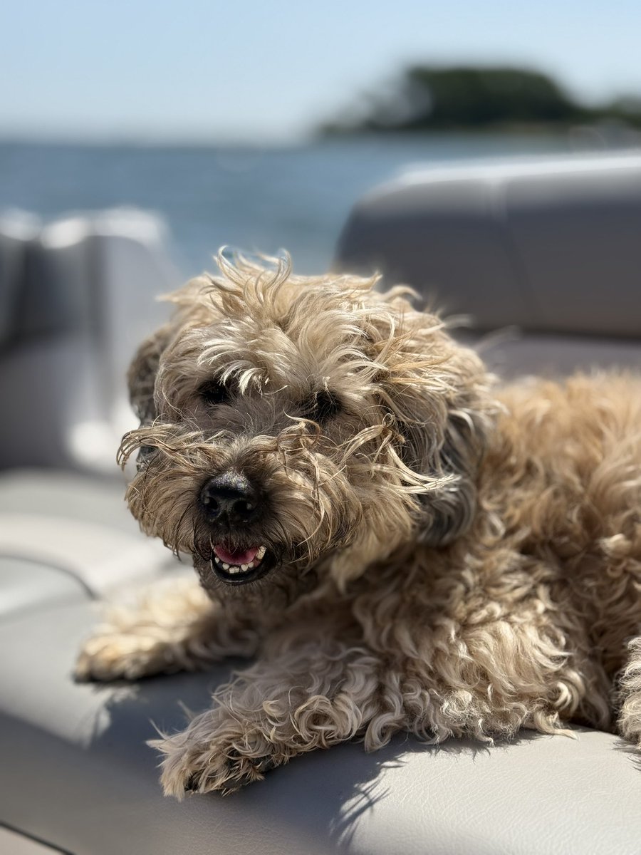 FootAndAnkleMD (@footandanklemd) on Twitter photo 