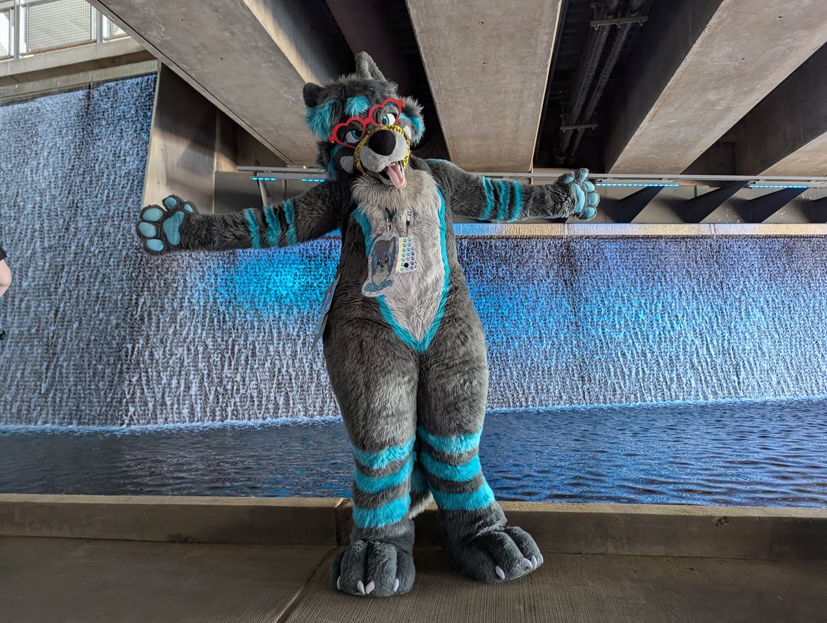 olcanachak's tweet photo. I'm having a blast at AC. Happy fursuit Friday from Pittsburgh! (and happy Independence day American folks :3) #FursuitFriday #anthrocon #AC2025 https://t.co/xda050CTu8