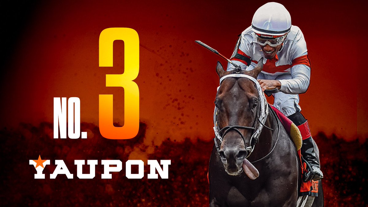 STRONG POTENTIAL! 
🤩🤩🤩

An impressive debut from this 2yo colt as he becomes his sire’s 3rd winner, delivering a strong rally down the stretch to reel in the leader ⭐️