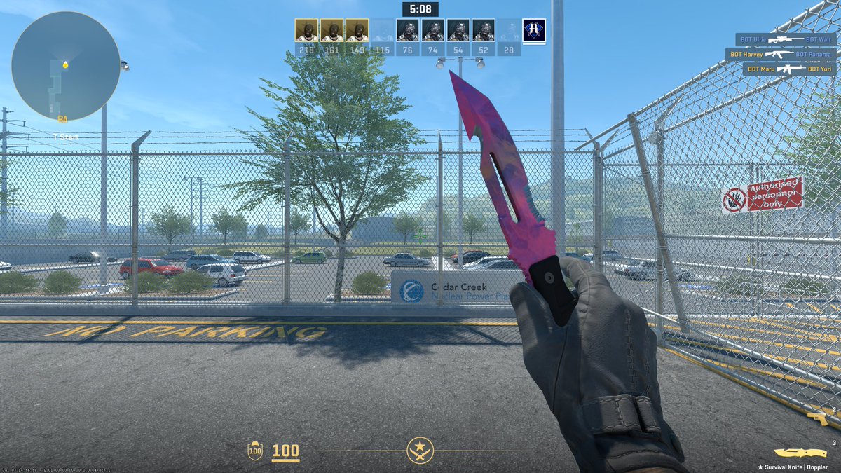 How much is it ? Float 0.007 and Paint Seed 727