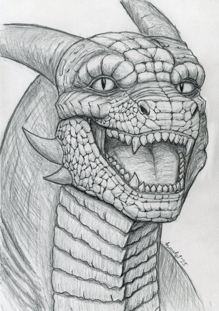 I haven't posted anything in a while. I've fallen into the trap of “art block” again. I kind of want to draw, but kind of don't. I spent several days drawing this sketch.  #dragon #headshot #furryart #art