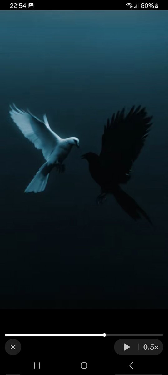 sunnycrypto97's tweet photo. "Two birds in the air—one of peace, one of shadow.
The wise heart discerns not by color, but by purpose.
For even the raven serves the storm, and the dove the calm.
In every soul, the battle is not of wings,
but of the will that chooses which to follow." https://t.co/muusWqwH7t