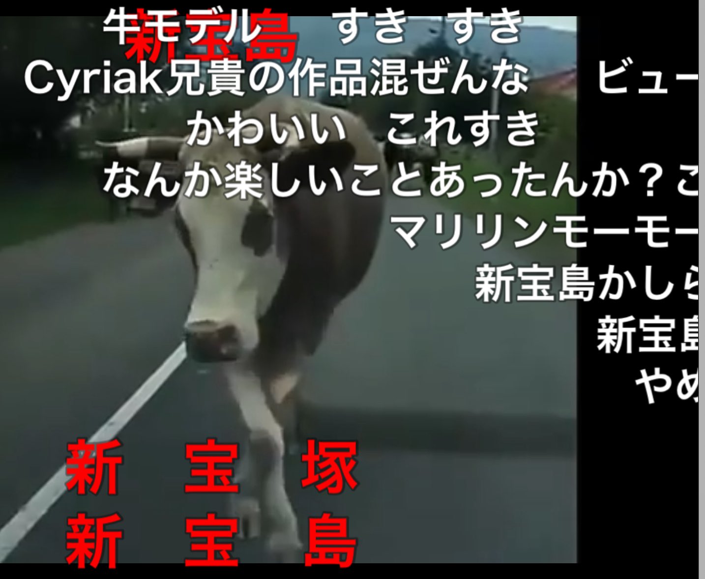 さかばんばすぴすぴす on X: 