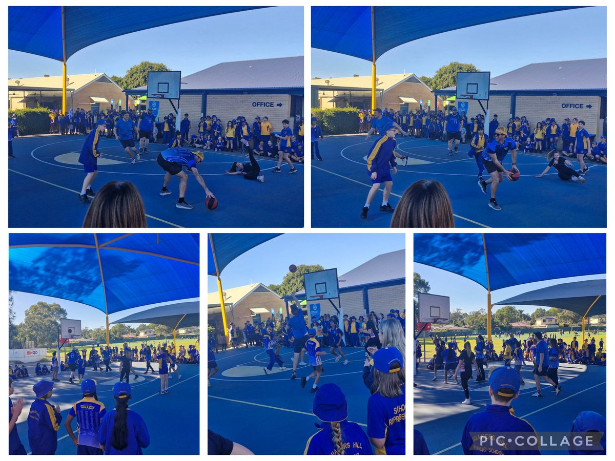 Quakers Hill Public School tweet media