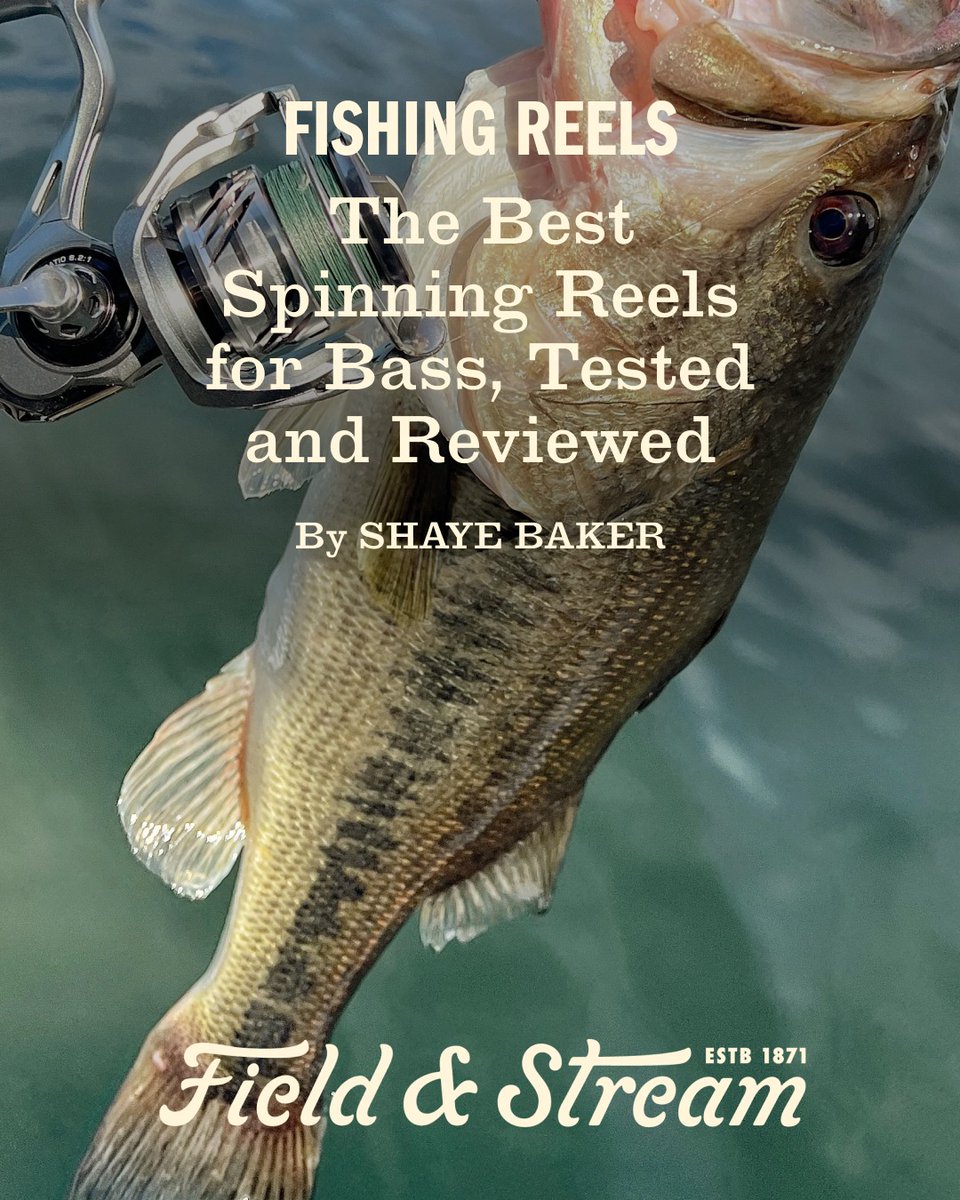 FieldandStream's tweet image. We tested 22 models to bring you the definitive guide to the best spinning reels for bass. This is our full review—don’t buy your next reel without reading it.

See our top picks - fieldandstream.com/outdoor-gear/f… 🎣

#BassFishing #OutdoorGear #FieldandStream