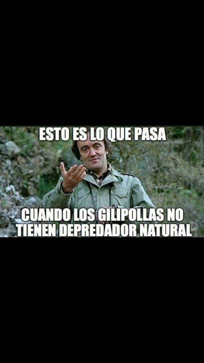 vela_OB's tweet photo. @15UCL_FPTR @sergitenebro @rafa_vinhas https://t.co/cRYqsikZu4