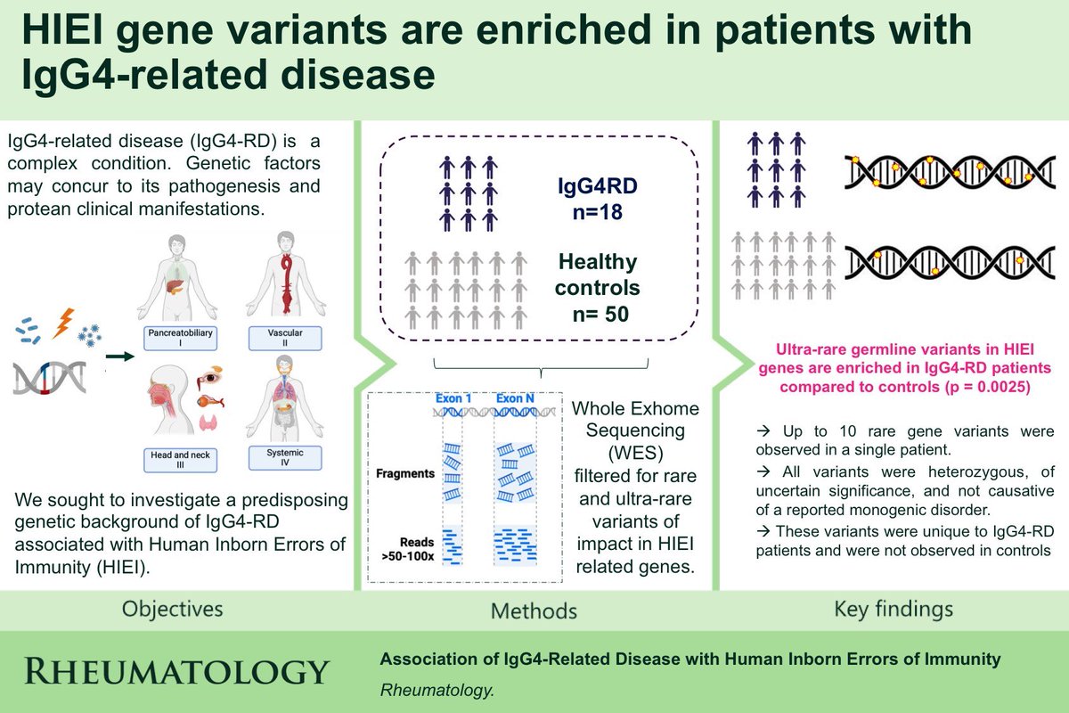 Patients with #IgG4-related disease carry an increased frequency of ultra-rare germline variants in human inborn errors of immunity genes, being PRKDC (associated with severe combined #immunodeficiency and AIRE-dependent #autoimmunity) and LRBA (associated with a spectrum of