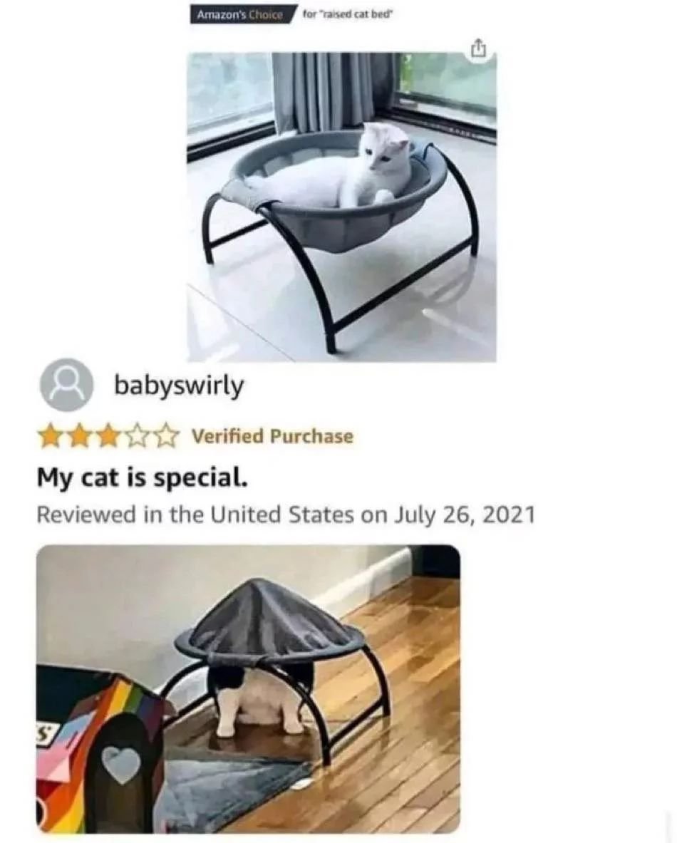 PunchingCat's tweet image. 