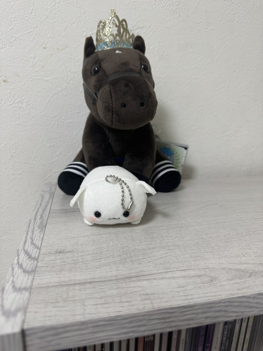 ふにたん届いた！！
かわよい
 #羽澄愛