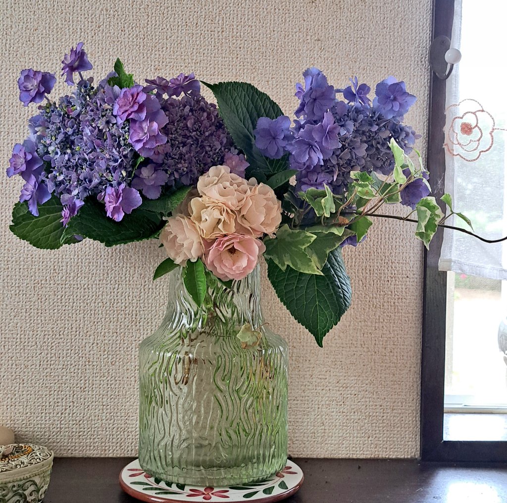 chiko6500's tweet image. うちの子達を　
見て下さい……❤️

紫陽花と　ぐんぐん元気な
バジル君

バジルは　摘みたてだと
バジル臭が凄いです………😆
🍀🍀🍀🍀🍀🍀🍀🍀🍀🍀🍀🍀
