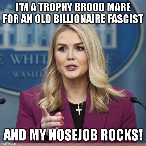 Class actions suits, know-nothing Nosejob Nazi. Everyone should ignore anything Nosejob Nazi has to say about anything. She's a Project 2025 gender turncoat proselytizing stupid lies and worse propaganda representing the most corrupt person on the planet, Douchebag J. Trump.
