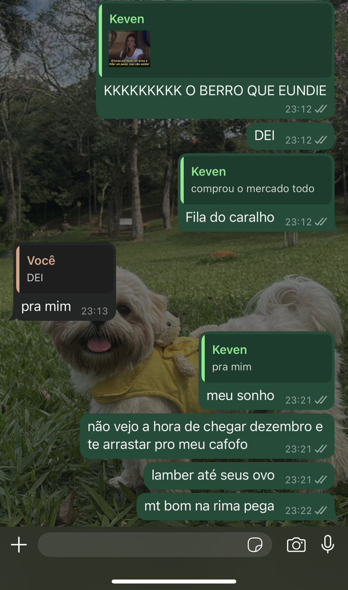 brafaeuu's tweet image. eu sou assim flertando