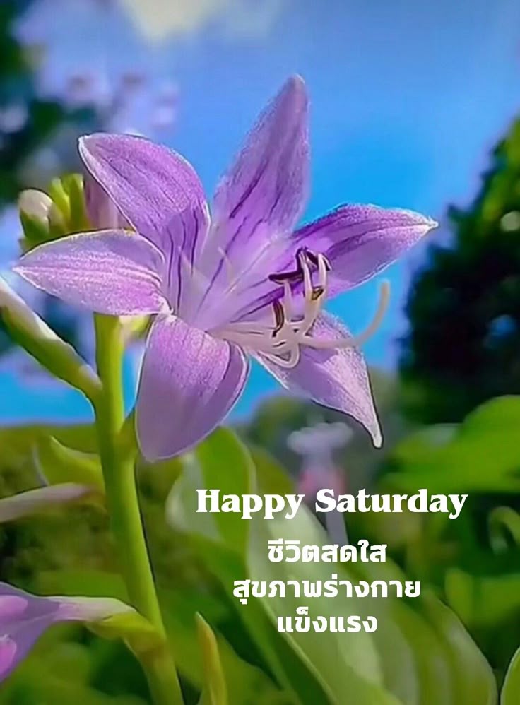 💫 ❦ 🄳🄸🅅🅈🄰 ❦💫 (@divyadevi13) on Twitter photo ทักทายค่ะ
<a href="/carmen167057816/">💕 Carร์mencita 💕🧸🧁</a> <a href="/Taisit2/">🇹🇭ไตรสิณี ณ.ทุเรียนลาวา๑๙๖๙🇹🇭</a>
<a href="/chanuttharu/">จัม ชื่อฉันไว้</a> <a href="/az2662/">Annabelle</a>
<a href="/Kaunotar1/">I am Little_My</a> <a href="/FungFring2534/">🇹🇭 Fung</a>
<a href="/daddy_mootun/">🐷 พ่อหมู 🇹🇭 คะมวยหัวเขน</a> <a href="/theJYVs/">9JYVs</a>
<a href="/mychemical_no76/">🇹🇭อิทัป🧡นะคะ</a>
<a href="/Samuiromano7238/">Samui คนเดิม</a>
<a href="/runner_rainbow/">💜💜 Rainbow_Runner 💜💜</a>
<a href="/noolingneverdie/">พ่อหนูหลิ่งมีเมตตา กรุณา อุเบกขา 😂</a>
<a href="/PP4121010026/">ก็แค่คนที่รักพ่อร์💜</a>
<a href="/KVYoung187/">Voropoj Kommulna</a> <a href="/Theblue221205/">TheBlue77</a>
<a href="/rawincoolgmail1/">Rawin Ch🇹🇭Stand for ๑๑๒🇹🇭</a>
<a href="/LadyArin2/">𝒜𝓇𝒾𝓃 ℬ𝒶𝓊𝓂ℊ𝒶𝓇𝓉ℯ𝓃ꔐ❀ 🤭🤭</a> <a href="/tonpatiwat/">🇹🇭Ton Patiwat🇹🇭</a> ทักทายค่ะ
<a href="/carmen167057816/">💕 Carร์mencita 💕🧸🧁</a> <a href="/Taisit2/">🇹🇭ไตรสิณี ณ.ทุเรียนลาวา๑๙๖๙🇹🇭</a>
<a href="/chanuttharu/">จัม ชื่อฉันไว้</a> <a href="/az2662/">Annabelle</a>
<a href="/Kaunotar1/">I am Little_My</a> <a href="/FungFring2534/">🇹🇭 Fung</a>
<a href="/daddy_mootun/">🐷 พ่อหมู 🇹🇭 คะมวยหัวเขน</a> <a href="/theJYVs/">9JYVs</a>
<a href="/mychemical_no76/">🇹🇭อิทัป🧡นะคะ</a>
<a href="/Samuiromano7238/">Samui คนเดิม</a>
<a href="/runner_rainbow/">💜💜 Rainbow_Runner 💜💜</a>
<a href="/noolingneverdie/">พ่อหนูหลิ่งมีเมตตา กรุณา อุเบกขา 😂</a>
<a href="/PP4121010026/">ก็แค่คนที่รักพ่อร์💜</a>
<a href="/KVYoung187/">Voropoj Kommulna</a> <a href="/Theblue221205/">TheBlue77</a>
<a href="/rawincoolgmail1/">Rawin Ch🇹🇭Stand for ๑๑๒🇹🇭</a>
<a href="/LadyArin2/">𝒜𝓇𝒾𝓃 ℬ𝒶𝓊𝓂ℊ𝒶𝓇𝓉ℯ𝓃ꔐ❀ 🤭🤭</a> <a href="/tonpatiwat/">🇹🇭Ton Patiwat🇹🇭</a>