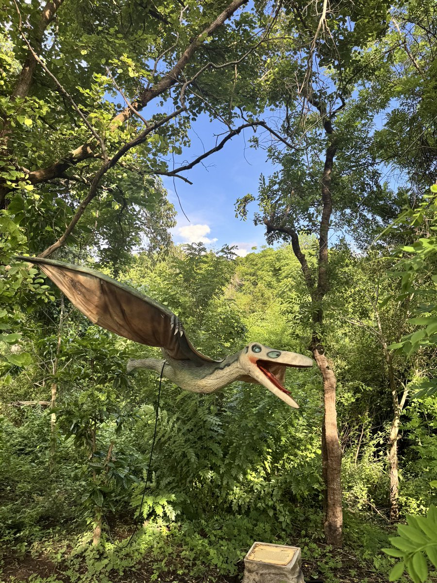 yangrows's tweet image. 