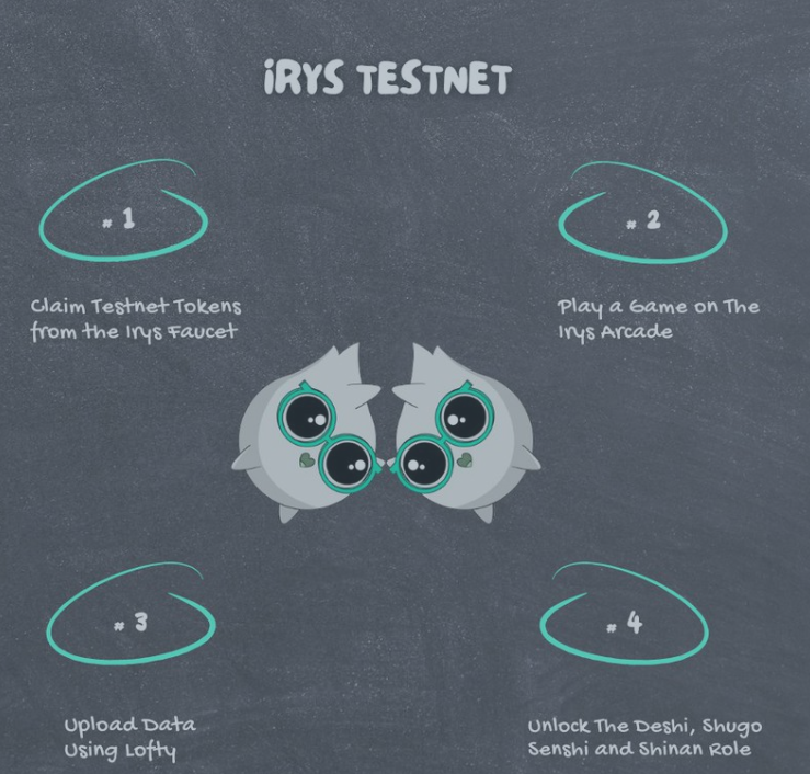 yangyangxi17's tweet photo. Simple steps to start participating in a testnet  @irys_xyz https://t.co/IcN3I3ftJX