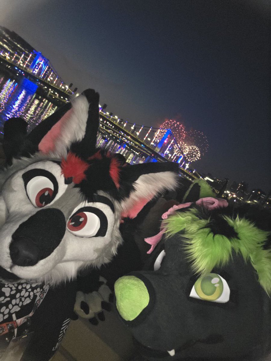 Theblizzardwolf's tweet image. Happy 4th of July!
📸 @ItsPoofs