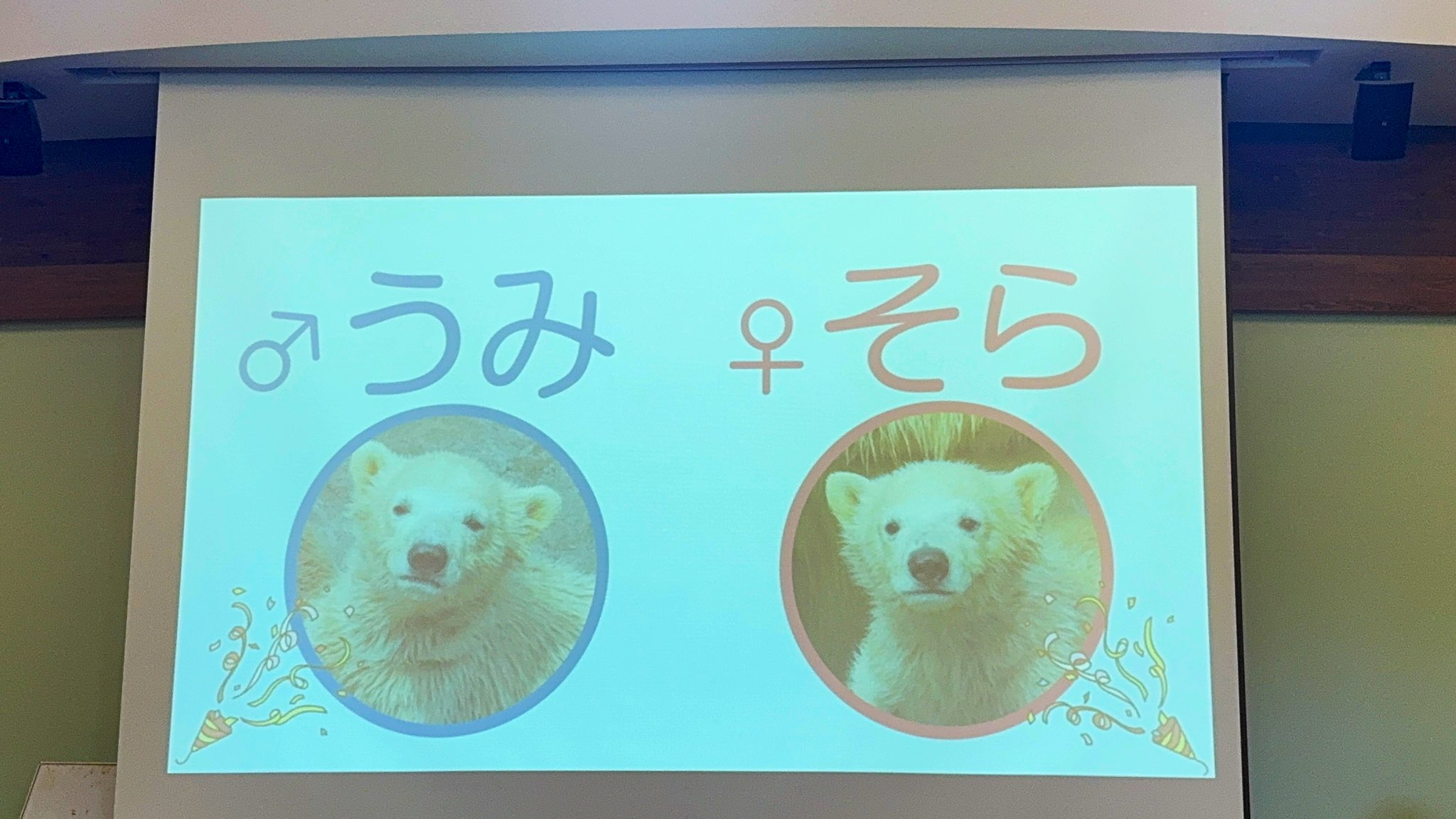 シロクマ座 (@shirokumaza) / X