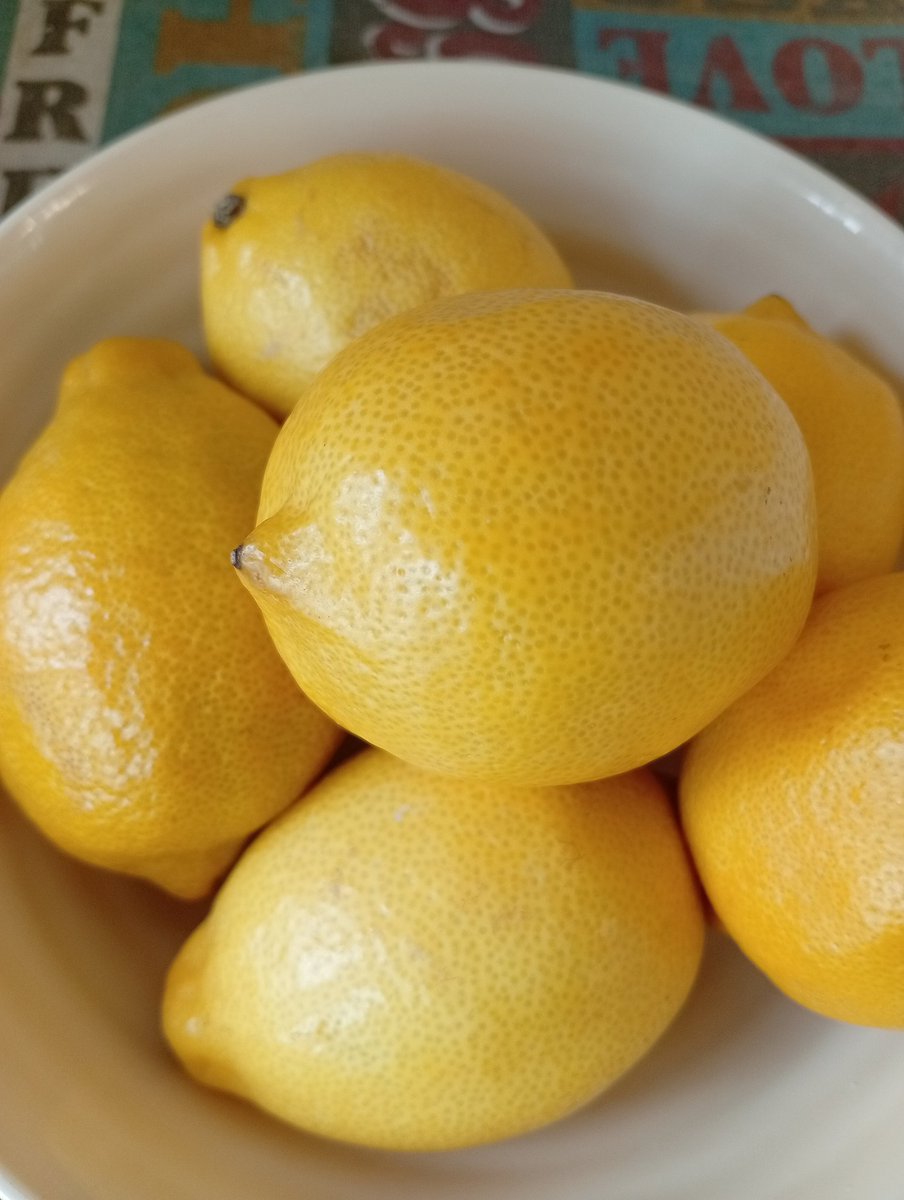 今年もはじまりました～
レモンカード🍋

きゅん♪とした酸味がお口にひろがります～
猛暑を乗りきるひとつになれば幸いです♡
#夏クレープ  #レモンカード