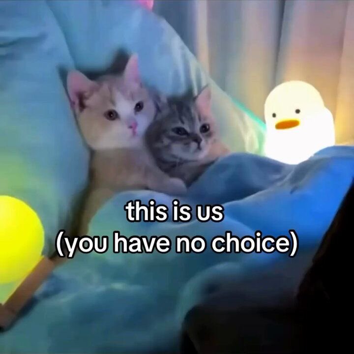 ♡ (@astralbaes) on Twitter photo 