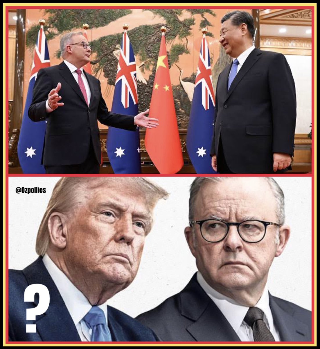 Ozpollies tweet media