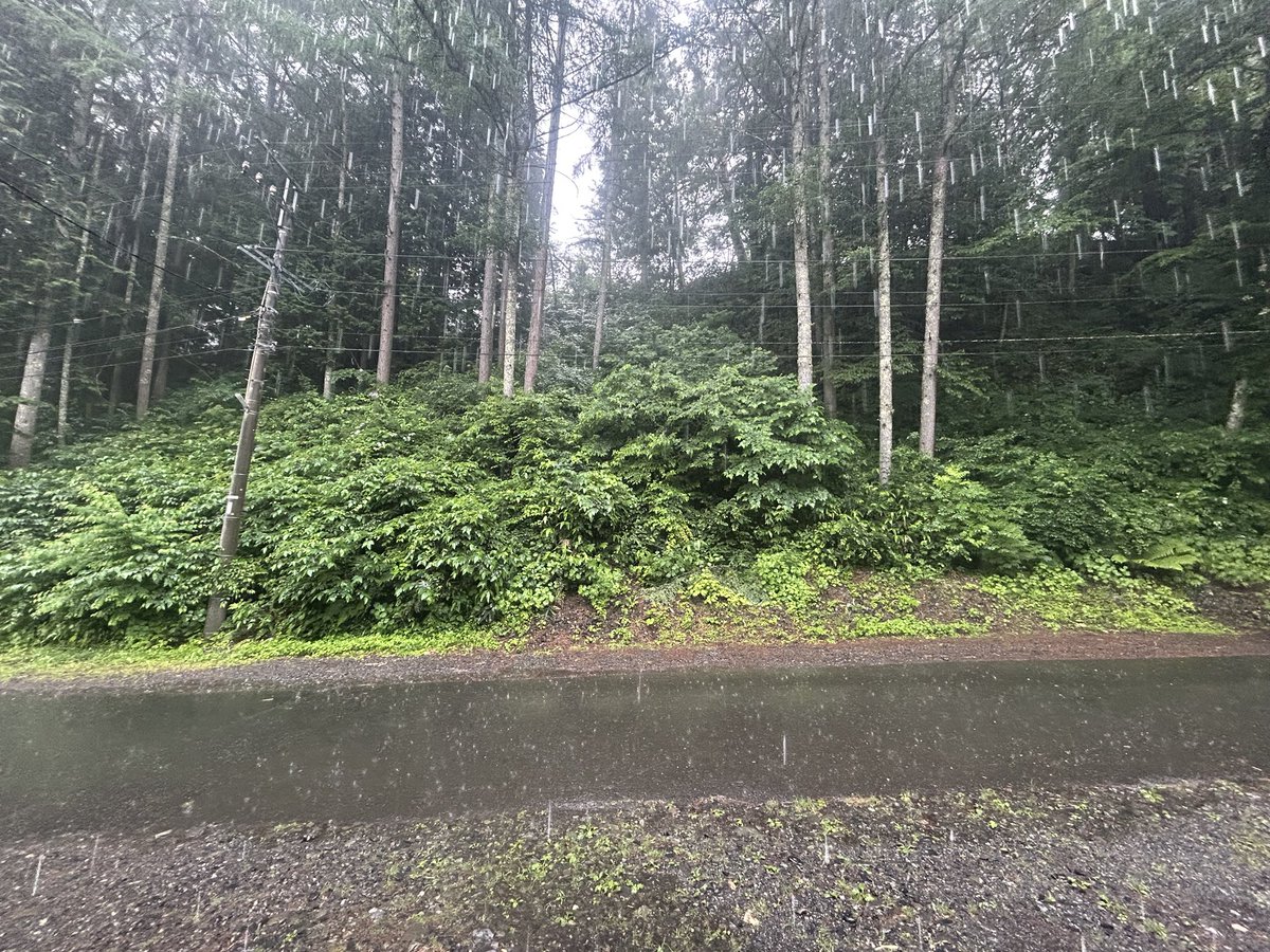 asahivalley's tweet photo. 朝は少し雨が降っていましたが、現在は晴れ間も出できました🏕️昨日の午後はゲリラ豪雨に見舞われました☔️バケツをひっくり返したとはこのことを言うかのような雨でした。ご来場お待ちしております♪♪

#野俣沢林間キャンプ場
#小型ドローン
#あさひプライムスキ場ー https://t.co/awdKNiXNe1