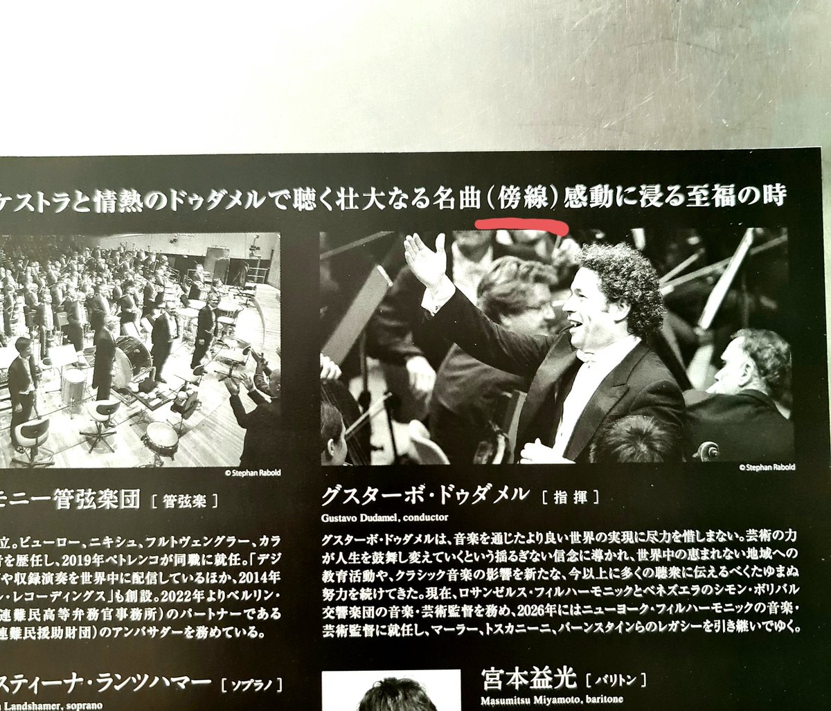 今回のBPOチラシの
この(傍線)の意味は
結局わからず⋯(しつこい)

#ベルリン・フィル