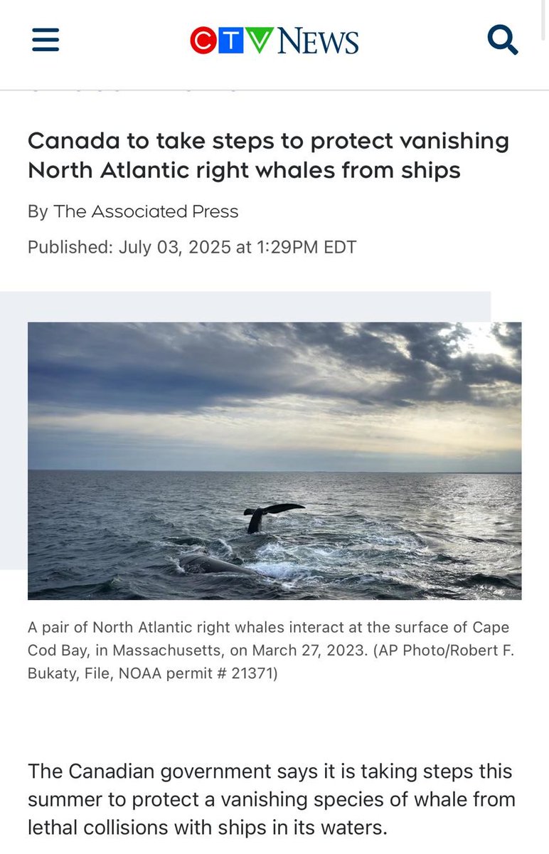CanadianBalochC's tweet image. Canada continues to lead in ocean conservation by protecting the endangered North Atlantic right whale, helping to preserve our natural heritage for future generations.
Thank your @FishOceansCAN @DFO_Pacific @environmentca @Joanne_NL @juliedabrusin for this vital work.