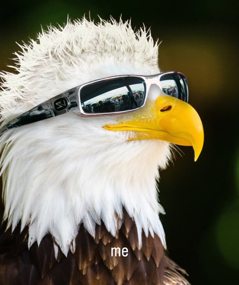 David of America tweet media