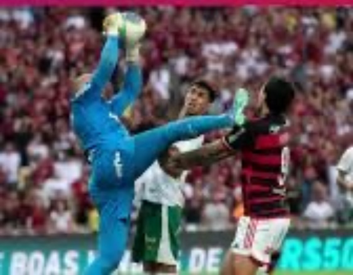 <a href="/TozzaFla/">Tozza</a> Todo castigo é pouco pra esse verme!
