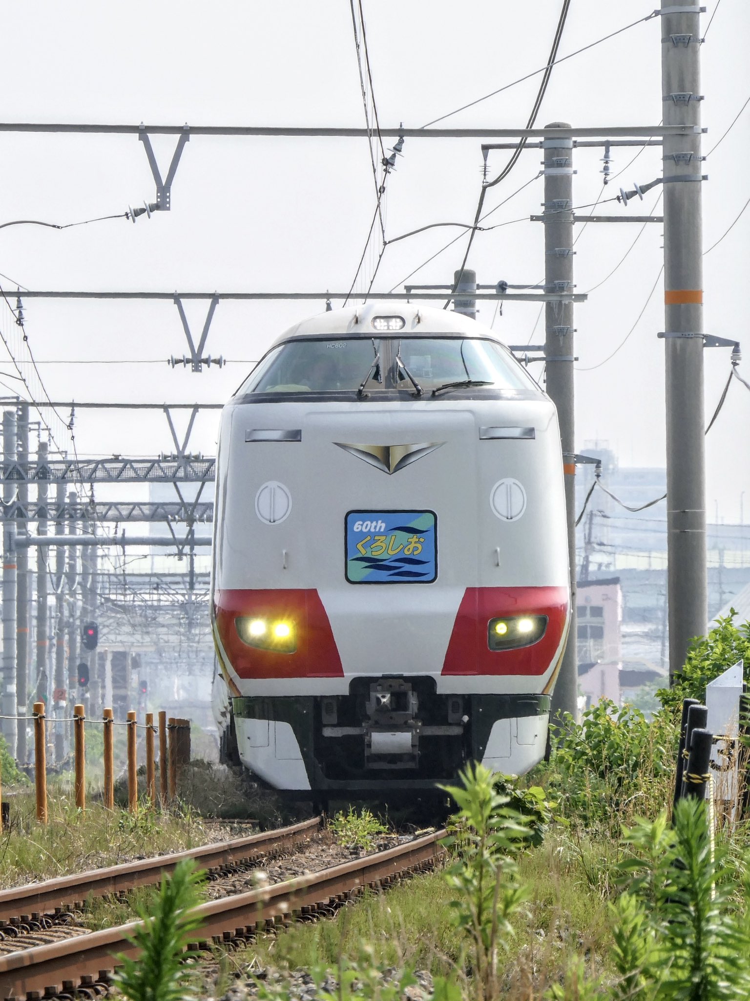 くろよん✳︎ □ ⟡.·*.Kuroshio photo pick up⟡.·*. 黒潮ドライバー ̖́くろ